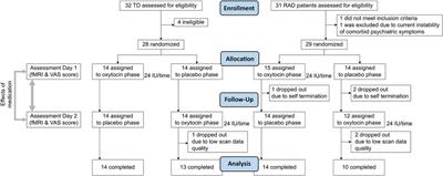 Effects of intranasal oxytocin on neural reward processing in children and adolescents with reactive attachment disorder: A randomized controlled trial